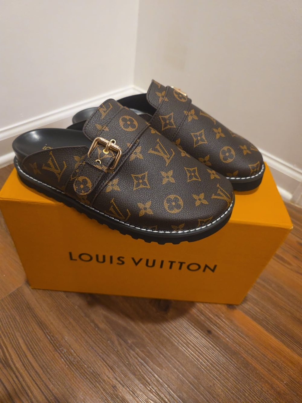 Louis Vuitton Monogram Clog Mules in Brown